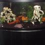 72 gallons freshwater fish tank (mostly fish and non-living decorations) - Tank overview. 72 gallon bow front. Check out the individual species pictures.
