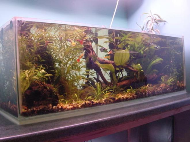 19 gallons planted tank (mostly live plants and fish) - the tank is 36x12x12. it has 2 30watt grolux tubes suspended from the ceiling. it has a fluval 2 plus filter with a small external filter