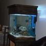 48 gallons saltwater fish tank (mostly fish, little/no live coral) - 13 gal salt water tank soon to a nano