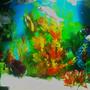 fish tank picture - my aquarium