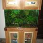 fish tank picture - Front View