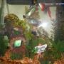 29 gallons freshwater fish tank (mostly fish and non-living decorations) - 29gal Gourami Tank