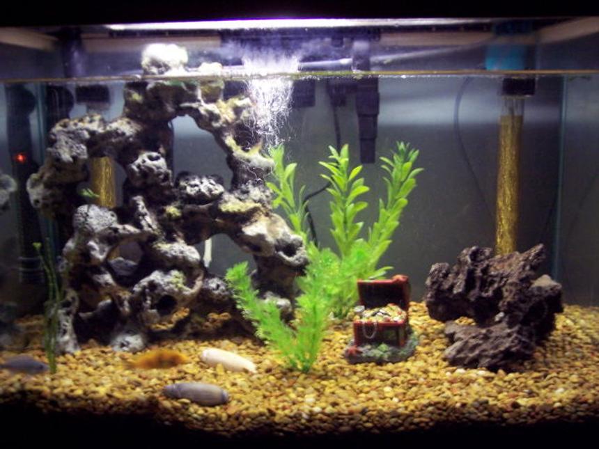 Rated #3316: 25 Gallons Freshwater Fish Tank