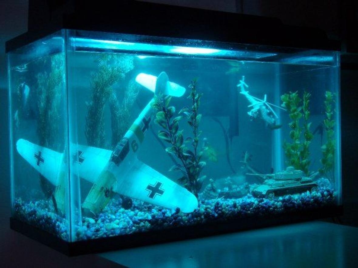 10 gallons freshwater fish tank (mostly fish and non-living decorations) - This is the coolest tank, i dont care what you think