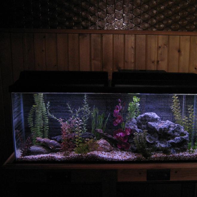 55 gallons freshwater fish tank (mostly fish and non-living decorations) - 55 gal