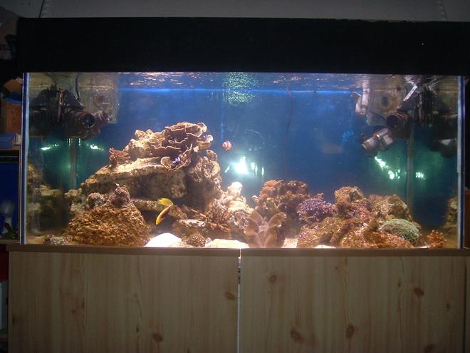 100 gallons reef tank (mostly live coral and fish) - 4x2x2 tank with a double sump and a dsb bucket. running 2x 250w 10,000k MH , one v2 600 skimmer , and 2x 820 seios and 2 1100 seios for in tank circulation 
this thank is only 6 weeks old !!