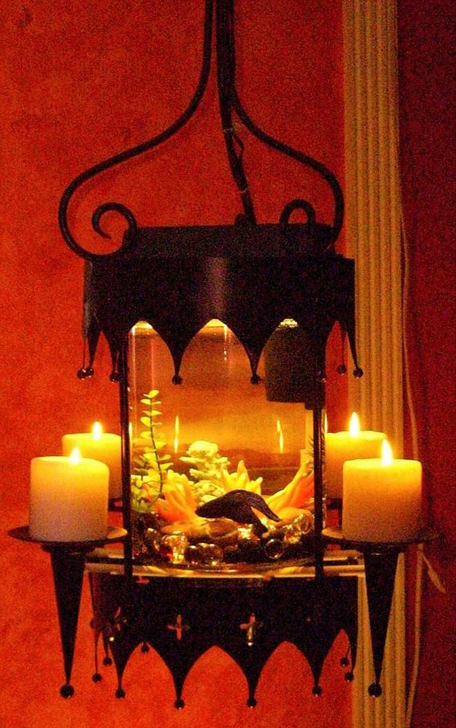 2 gallons freshwater fish tank (mostly fish and non-living decorations) - HANGING FISH TANK CANDELABRA