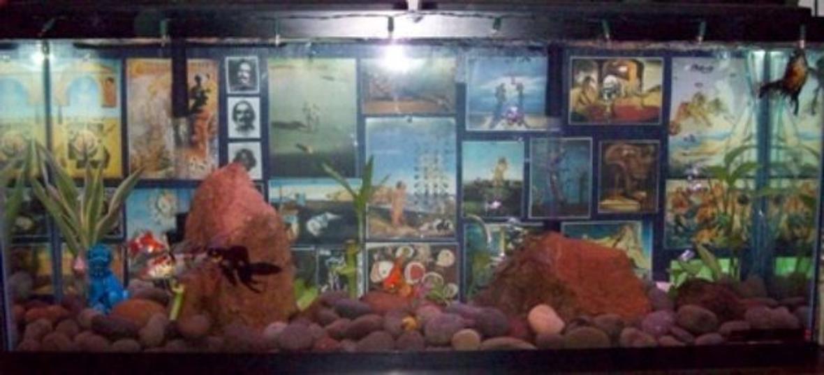 55 gallons planted tank (mostly live plants and fish) - Our 55gal. In all its Glory.