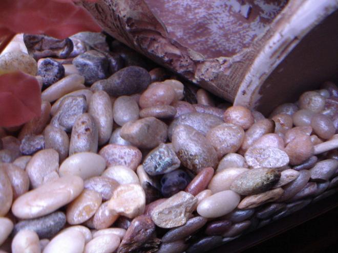 freshwater fish - mastacembelus armatus - tire track eel stocking in 90 gallons tank - My Tire Track eel saying hello.