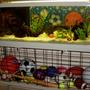 34 gallons freshwater fish tank (mostly fish and non-living decorations) - 34 GAL freshwater sports theme tank.