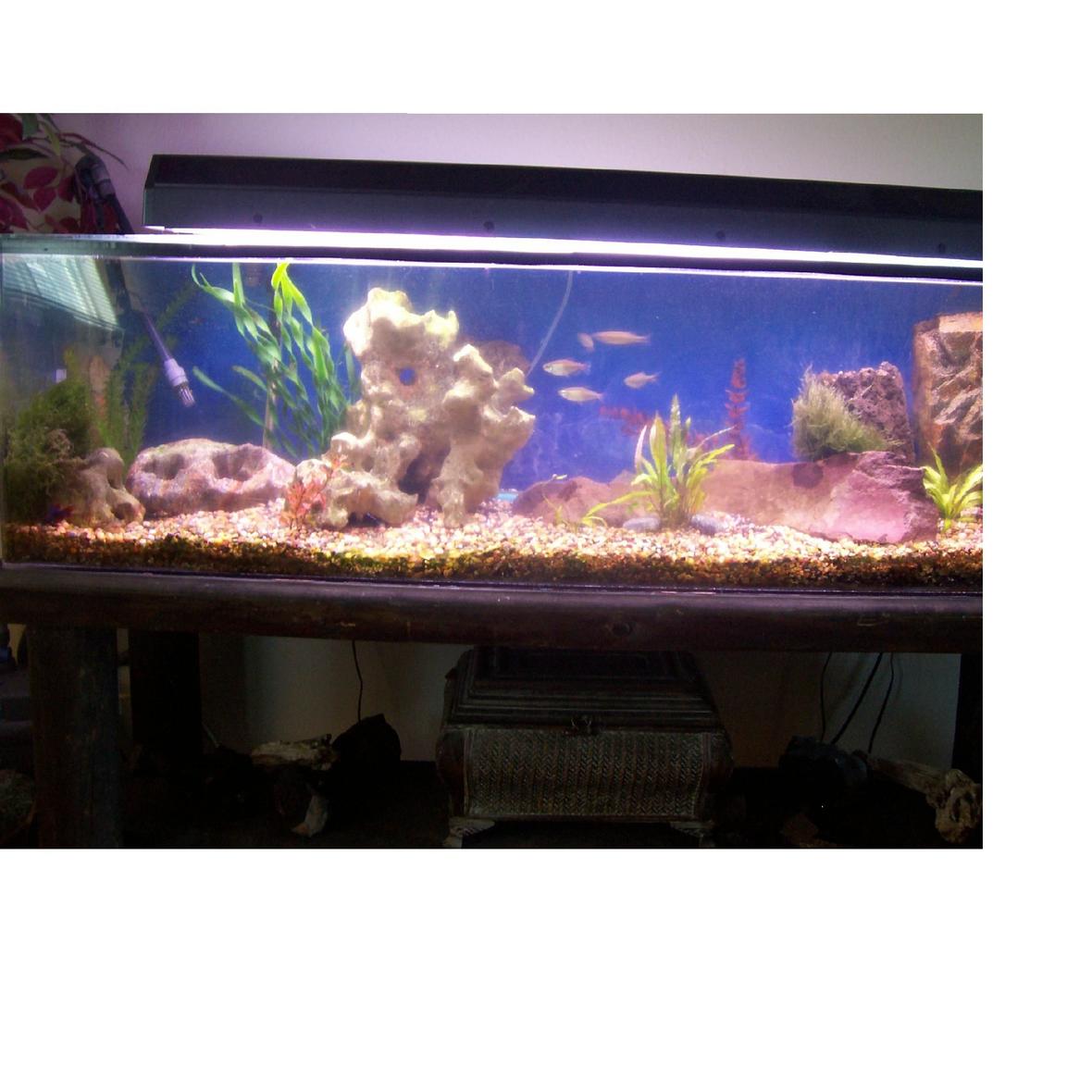 75 gallons freshwater fish tank (mostly fish and non-living decorations) - 75 gallon acrylic tank