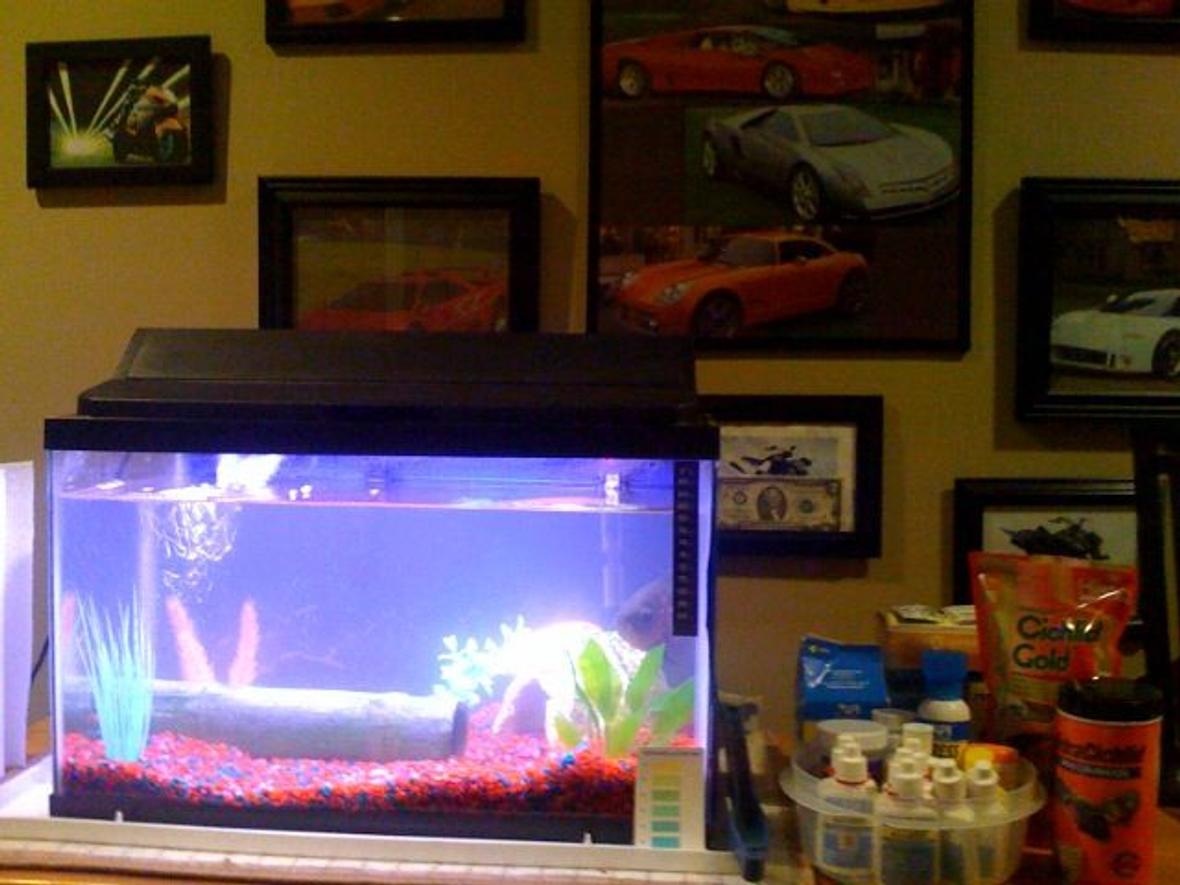fish tank picture - fish tank and all of my tank stuff to keep it maintained
