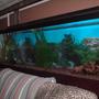 150 gallons freshwater fish tank (mostly fish and non-living decorations) - side shot