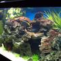 fish tank picture - Diff.View