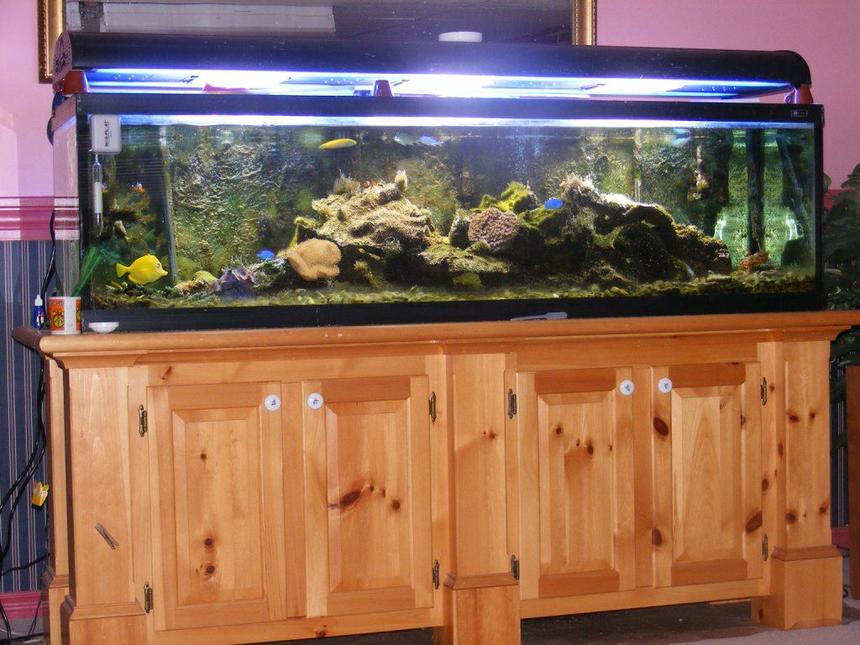 Rated #26: 80 Gallons Saltwater Fish Tank - father in-law's 150 gal tank