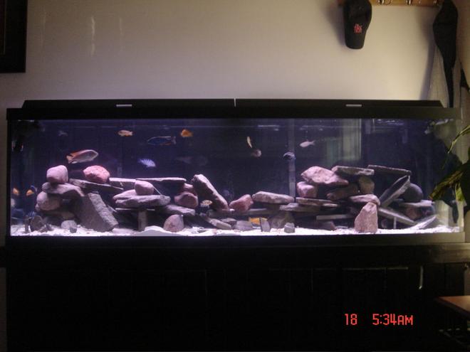 125 gallons freshwater fish tank (mostly fish and non-living decorations) - Picture of my 125 gallon African Cichlid Tank.  Any comments or suggestions would be greatly appreciated.