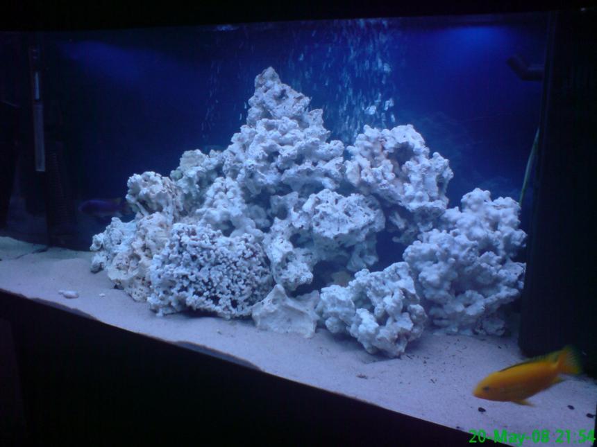 Rated #2753: 280 Gallons Freshwater Fish Tank - just got all my rock in just need some fish now at present i have 4 baby chiclids and 3 young ones