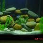 fish tank picture - Closeup of Stonehenge - Frontal View