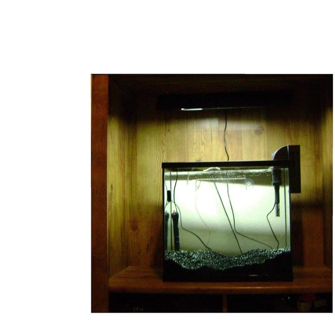15 gallons planted tank (mostly live plants and fish) - my 15 gallon, my first planted tank soon to be started june 13 2008, 30 gallon power filter with open top and over head lighting, creativity in a box