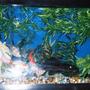 45 gallons freshwater fish tank (mostly fish and non-living decorations) - ok