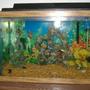 30 gallons freshwater fish tank (mostly fish and non-living decorations) - new project