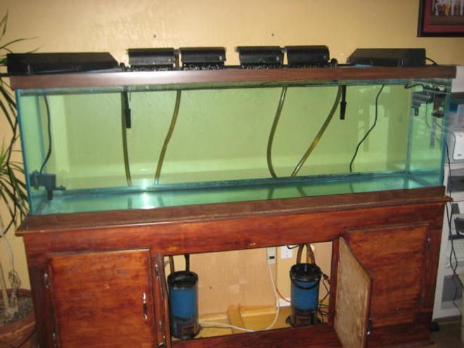 150 gallons freshwater fish tank (mostly fish and non-living decorations) - 150 gallon tank needing help. Wife made me a bet last week 6/28/08. I can't buy any hobbie stuff for a year and she can't drink for a year. But she never said others couldn't support my hobbie. All I need to get this beauty back on line is some gravel, a hood and some fish. I have everything else. The hood fell off a truck when moving from Hawaii. I'm serving in the Navy. If you wish to donate to this tank please send all donations to 1012 S.W. 128th St Oklahoma City, Ok 73170 Attention Steve.