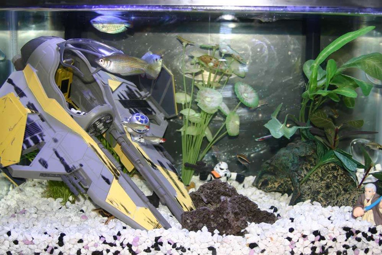 10 gallons freshwater fish tank (mostly fish and non-living decorations) - don't have this tank anymore, upgraded to a 29 gal and a 55 gal. Then traded up the 55 gal for a 75 gal.