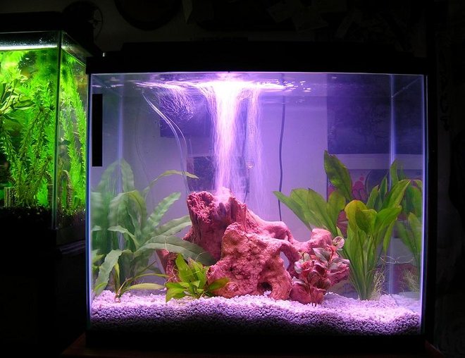 45 gallons freshwater fish tank (mostly fish and non-living decorations) - my tanks..... 2 of them 20 gal, 25 gal.