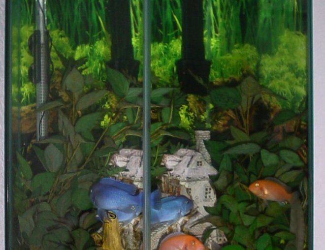 50 gallons freshwater fish tank (mostly fish and non-living decorations) - 35 Gallon Hexagonal. 4 Blue African Cichlids, approx 2 inches each. 3 Yellow African Cichlids, approx 2 inches each. 1 Zebra Cichlid, 2 Inches. 1 Pleco, 11 inches.