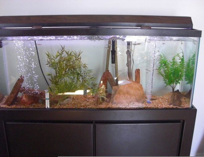 20 gallons freshwater fish tank (mostly fish and non-living decorations) - my 55 gal filter is a magmum 350 heater is 200 watts, 2 airstones, flagstone, 2 plastic plants