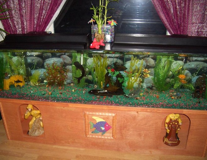 66 gallons freshwater fish tank (mostly fish and non-living decorations) - 6'   66 gallon