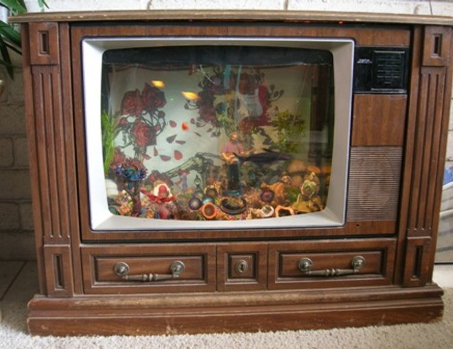 25 gallons freshwater fish tank (mostly fish and non-living decorations) - A tribute the greatest rock n roll band ever! If you look hard enough you can see your face melt!
THIS IS FOR YOU JERRY!!!