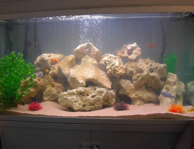 freshwater fish tank (mostly fish and non-living decorations) - 275L fish tank been running for 2 months
15 african cichlids 3 of each coulor and one 2day old fry
about 100 kg of ocean rock 
play pit sand (cleaned)
some fake plants
JBL 900 external filter
Rena air pump 6 inch air brick
2 30w T8 tubes