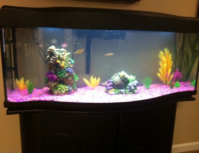 55 gallons freshwater fish tank (mostly fish and non-living decorations) - Now half empty of water and being prepped for salt... any advice or encouragement would be appreciated by the way. It will be my first run. TIA!