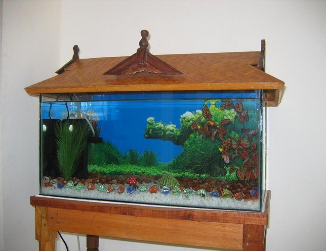 15 gallons freshwater fish tank (mostly fish and non-living decorations) - size: 2 x 1 x 1 (feet). 15 gallons tank. White and brown gravels are used. Right now no light is used. I used artifical plants only. Gold, Telescope, Guppy and 1 male fighter(betta). I used HJ-752 filter (18 W, 600 liter/hour).