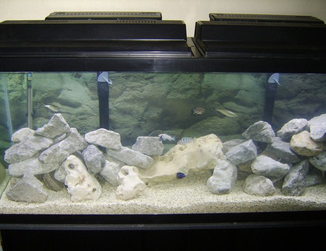 55 gallons freshwater fish tank (mostly fish and non-living decorations) - We redid our rocks and added crushed coral instead of gravel.