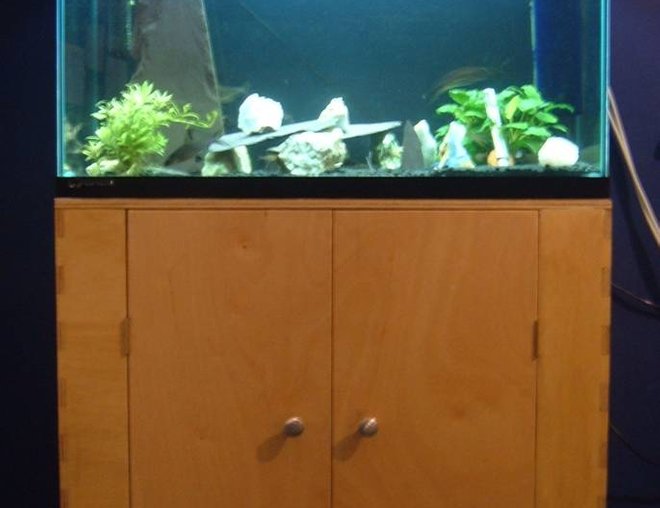 25 gallons freshwater fish tank (mostly fish and non-living decorations) - Home built cabinet and lid. Lots of rocks, to try and seporate the L015 pleco.