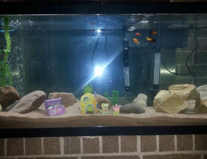 55 gallons freshwater fish tank (mostly fish and non-living decorations) - Added sand just recently and found my stone on the job site looks really amazing to me