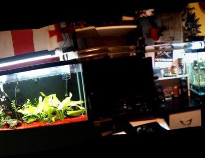 55 gallons freshwater fish tank (mostly fish and non-living decorations) - I have several variations of this project, but this was the original success story. 2 of my tanks, one planted one not, connected by a bridge that runs above my desk. Many fish used it, and still do, even had a platy who gave birth while hanging out in the tube.