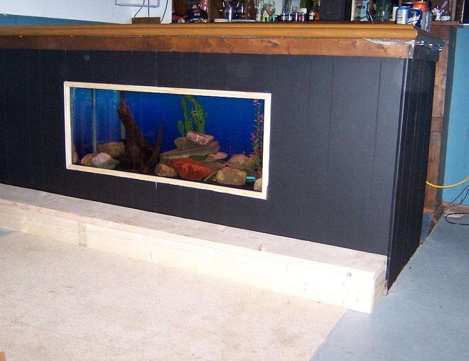 55 gallons freshwater fish tank (mostly fish and non-living decorations) - 55g in my bar.