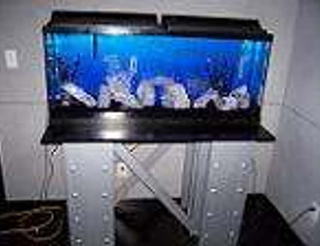 55 gallons freshwater fish tank (mostly fish and non-living decorations) - My tank is 1 Foot x4 foot and 21' tall , it has a tetra 3,4 filter Black gravel lots of quarts stones black and white plants, Stellar W 60 air pump,.A custom made stand to look like steel I beams, Very modern looking.