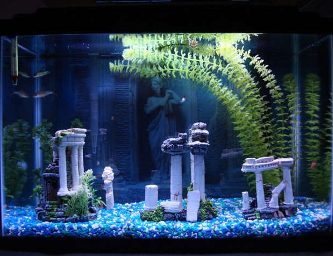 20 gallons freshwater fish tank (mostly fish and non-living decorations) - It's my fish tank... what else can I say?