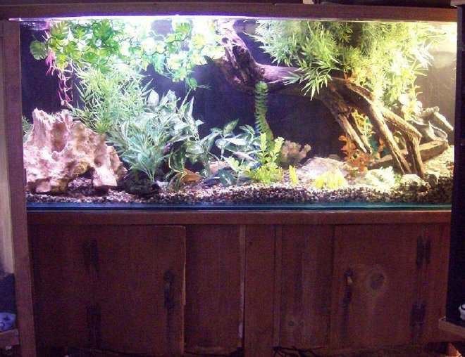 90 gallons freshwater fish tank (mostly fish and non-living decorations) - this is my tank it house the following
1 cory
2 peecock eels 
2 chinese algea eaters
1 clownknife
the tank has 2 bio filters
and a 36 inch light strip
one small pump to create a small current