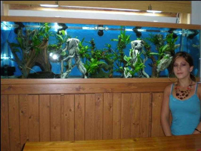 Rated #1507: 125 Gallons Freshwater Fish Tank - 125g