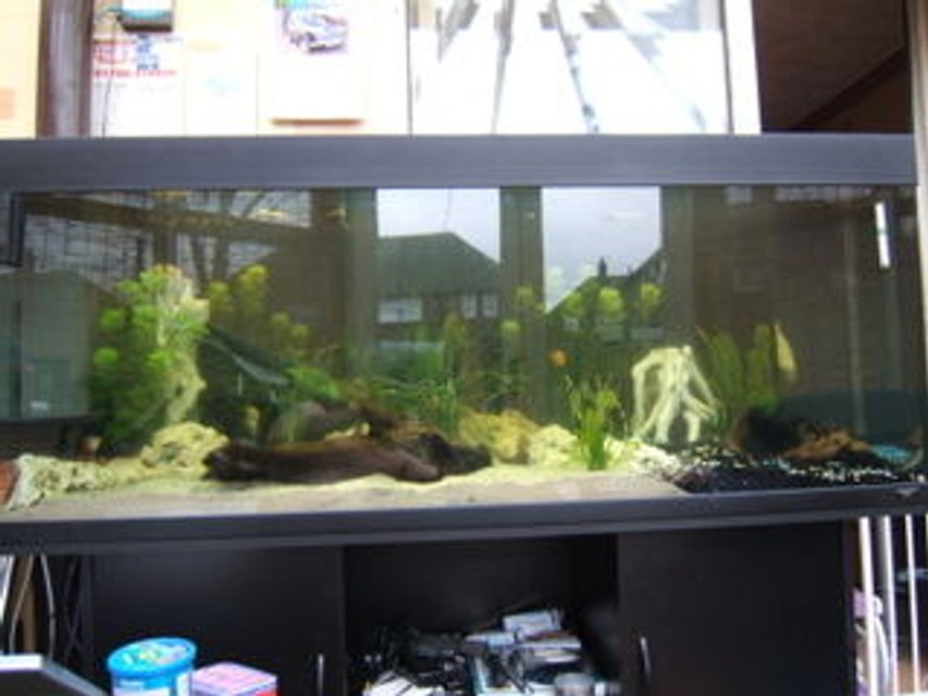 Rated #2825: 100 Gallons Freshwater Fish Tank - my rio 400
