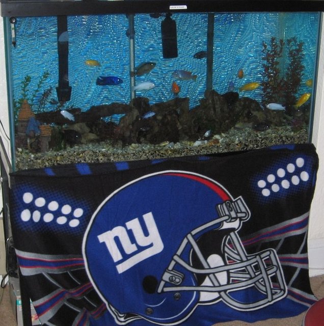 Rated #3981: 90 Gallons Freshwater Fish Tank - my tank