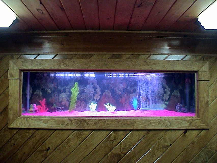 Rated #3111: 125 Gallons Freshwater Fish Tank - pic #2