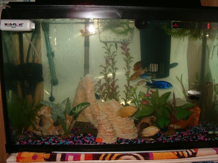 Rated #3703: 28 Gallons Freshwater Fish Tank - 30 Gallon New Tank