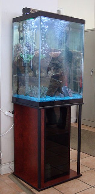Rated #3842: 47 Gallons Freshwater Fish Tank - none