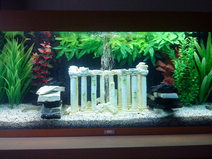 Rated #2883: 48 Gallons Freshwater Fish Tank - This is my 48 gallon/180 litre tropical freshwater tank. I used plastic and silk plants with a background by 'Juwel', finished off with a grecian ruin centrepiece (fitted with airstone) and 2 walls of stone.